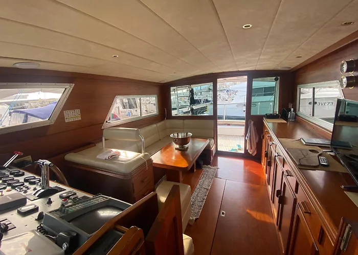 Delphin 4 Odysea It
